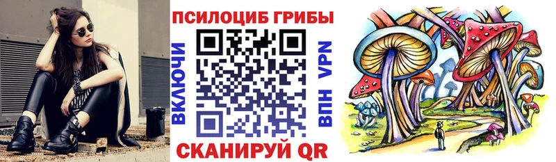Псилоцибиновые грибы мицелий  Долинск 