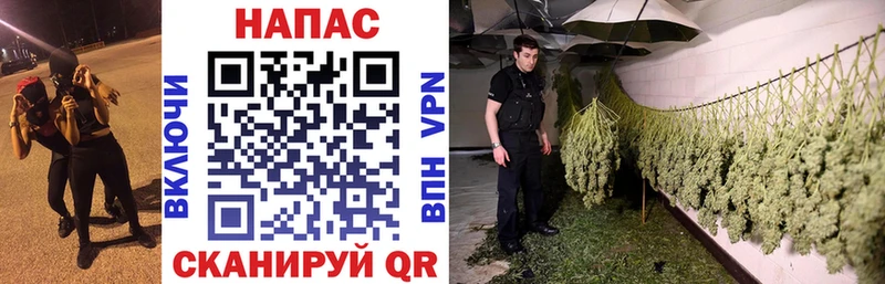 Канабис семена  Долинск 